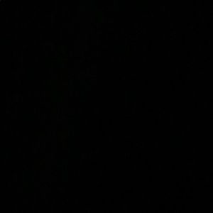 Meet your Posher, Nelson